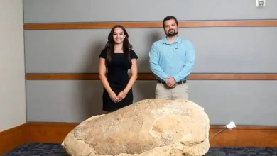 مرگ تلخ بدنساز