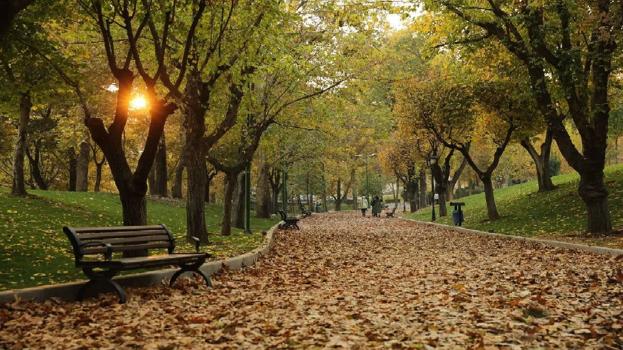 ۸ لوکیشن زیبای پاییزی تهران برای عکاسی عکس