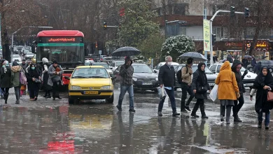 مخدوش کردن پلاک
