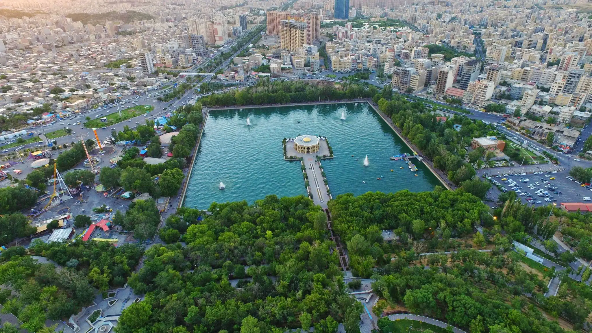 فلای تودی