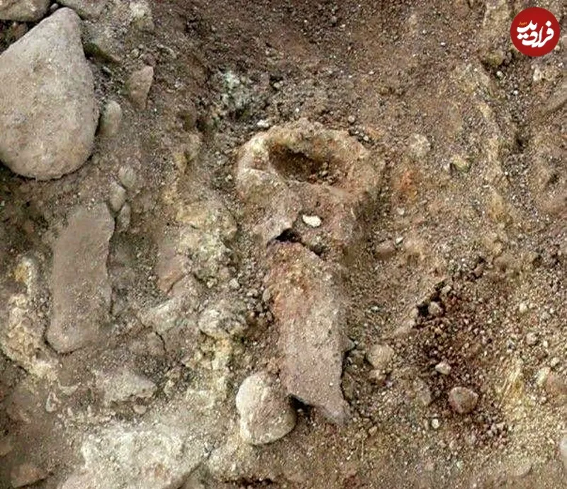بارش باران