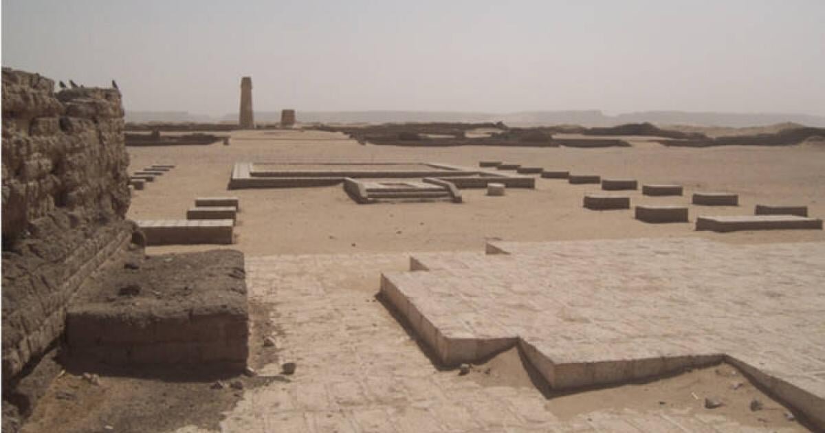حبیب لیسانسه ها