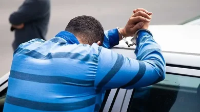 ایلان ماسک
