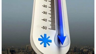 هواشناسی