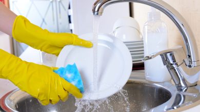 خرسهای قطبی