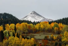 زیباییهای پاییز در یلاقهای دریای سیاه