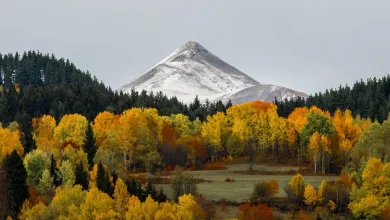 زیباییهای پاییز در یلاقهای دریای سیاه