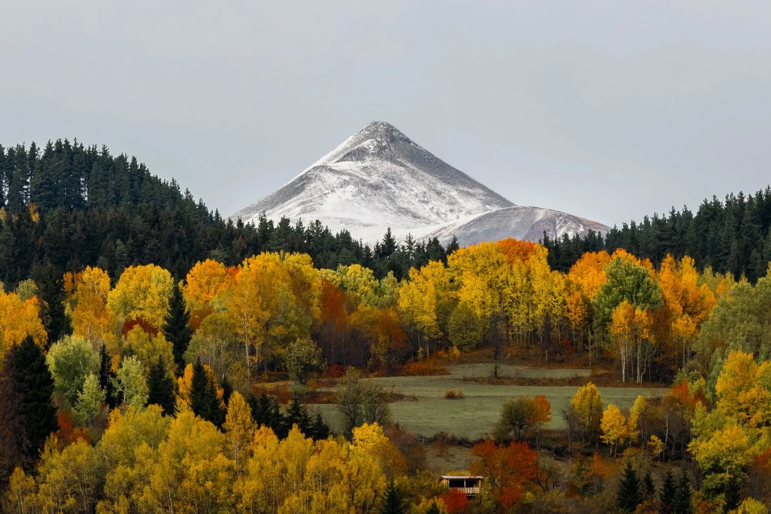 زیباییهای پاییز در یلاقهای دریای سیاه