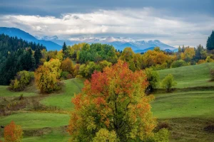 زیباییهای پاییز در یلاقهای دریای سیاه