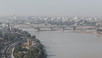 بیماری جدید