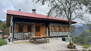 خانه‌های شاه‌بلوطی در استان آرتوین ترکیه