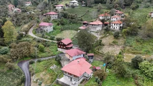 خانه‌های شاه‌بلوطی در استان آرتوین ترکیه