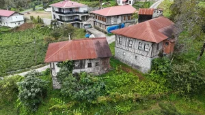 خانه‌های شاه‌بلوطی در استان آرتوین ترکیه