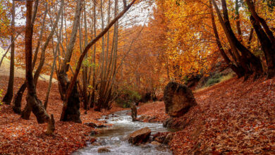 روستای ییلاقی جاغرق بهشت سبز مشهد 2 3 1