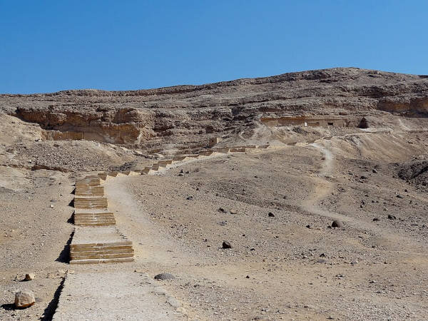 حبیب لیسانسه ها