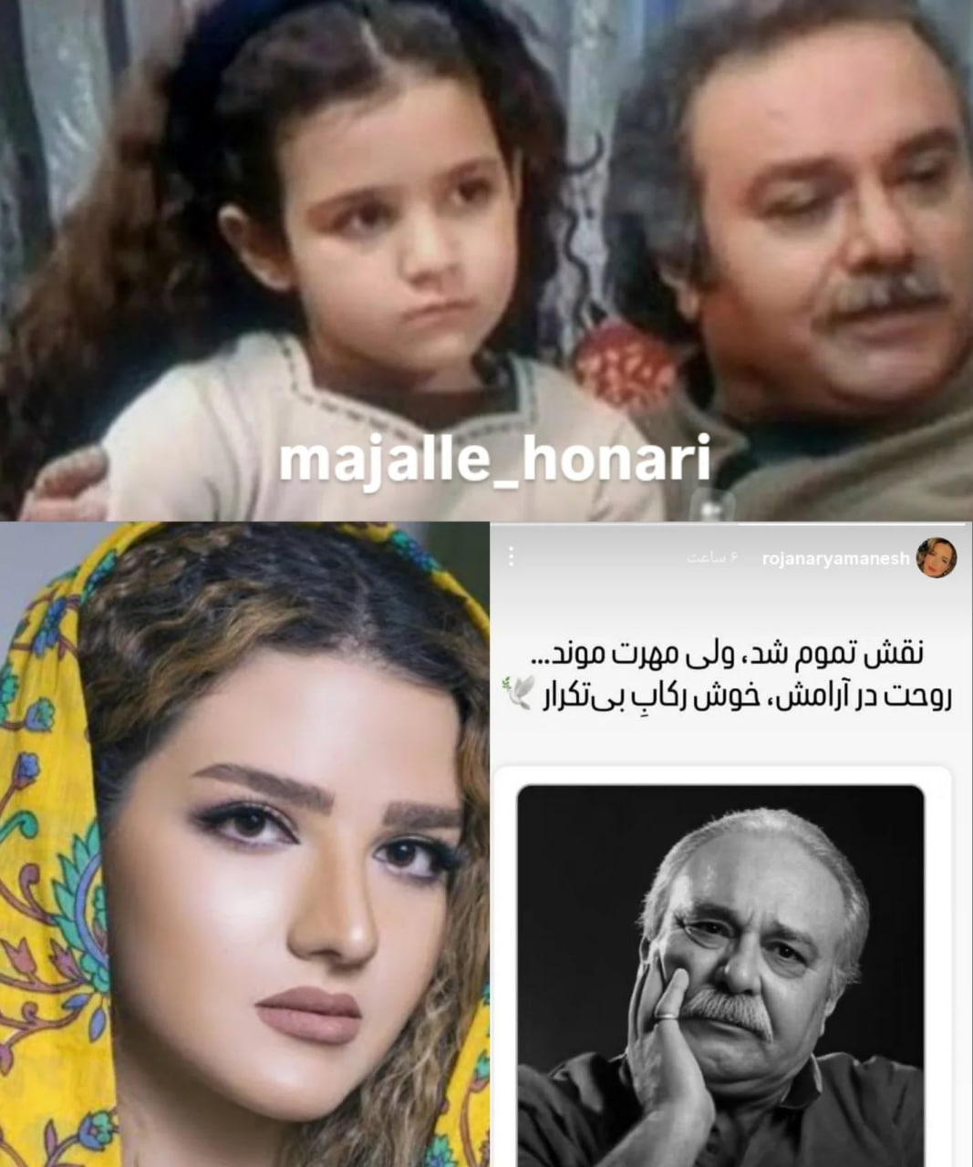 روژان آریامنش