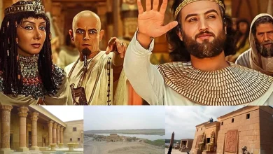 گلدان مینیمال و مدرن