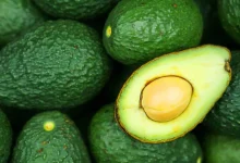 آووکادو