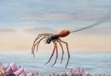 حمله به پروازهای مقصد اسرائیل