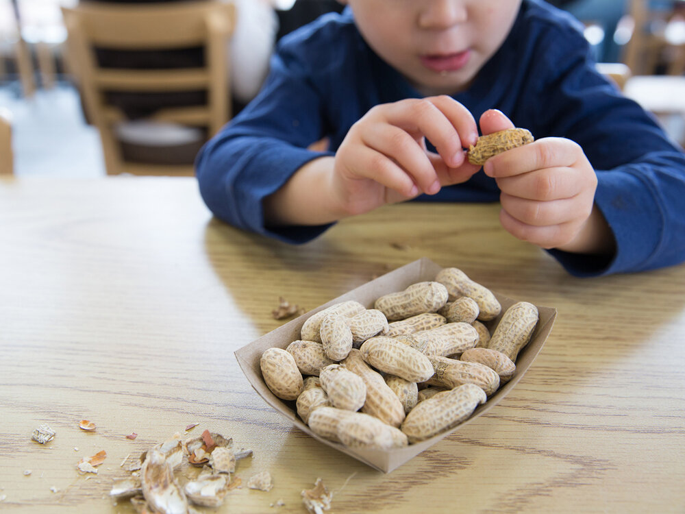 بادام زمینی