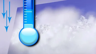 پژمان جمشیدی