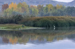 دریاچه ینیچاغا