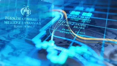 پیش بینی تورم در ترکیه