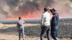 آتش‌سوزی در تالاب نهیل یوکسک اوا