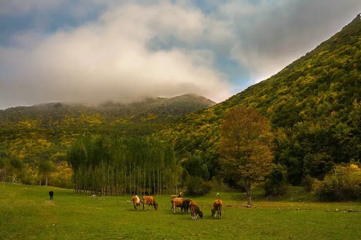پنج مقصد بکر برای گردشگری در پاییز /عکس