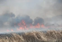آتشسوزی