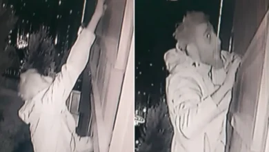 سرقت به شیوه مرد عنکبوتی