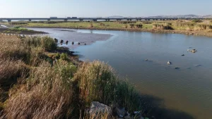 کاهش شدید آب در سدهای استانبول