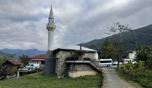 خانه‌های شاه‌بلوطی در استان آرتوین ترکیه