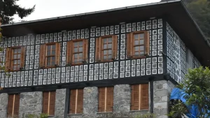 خانه‌های شاه‌بلوطی در استان آرتوین ترکیه