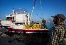 جوانان ترکیه با وجود حقوق ۸۰ هزار لیری، حاضر به کار در این شغل نیستند