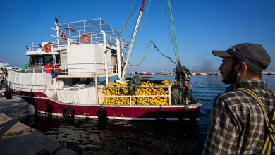 جوانان ترکیه با وجود حقوق ۸۰ هزار لیری، حاضر به کار در این شغل نیستند