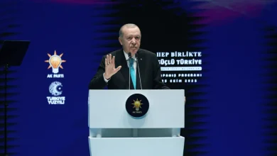 اردوغان: سیاست خارجی ترکیه بر اساس منافع ملی و استقلال کامل پیش میرود