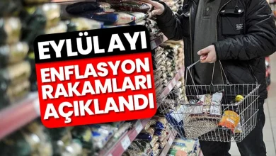 نرخ نورم در ترکیه