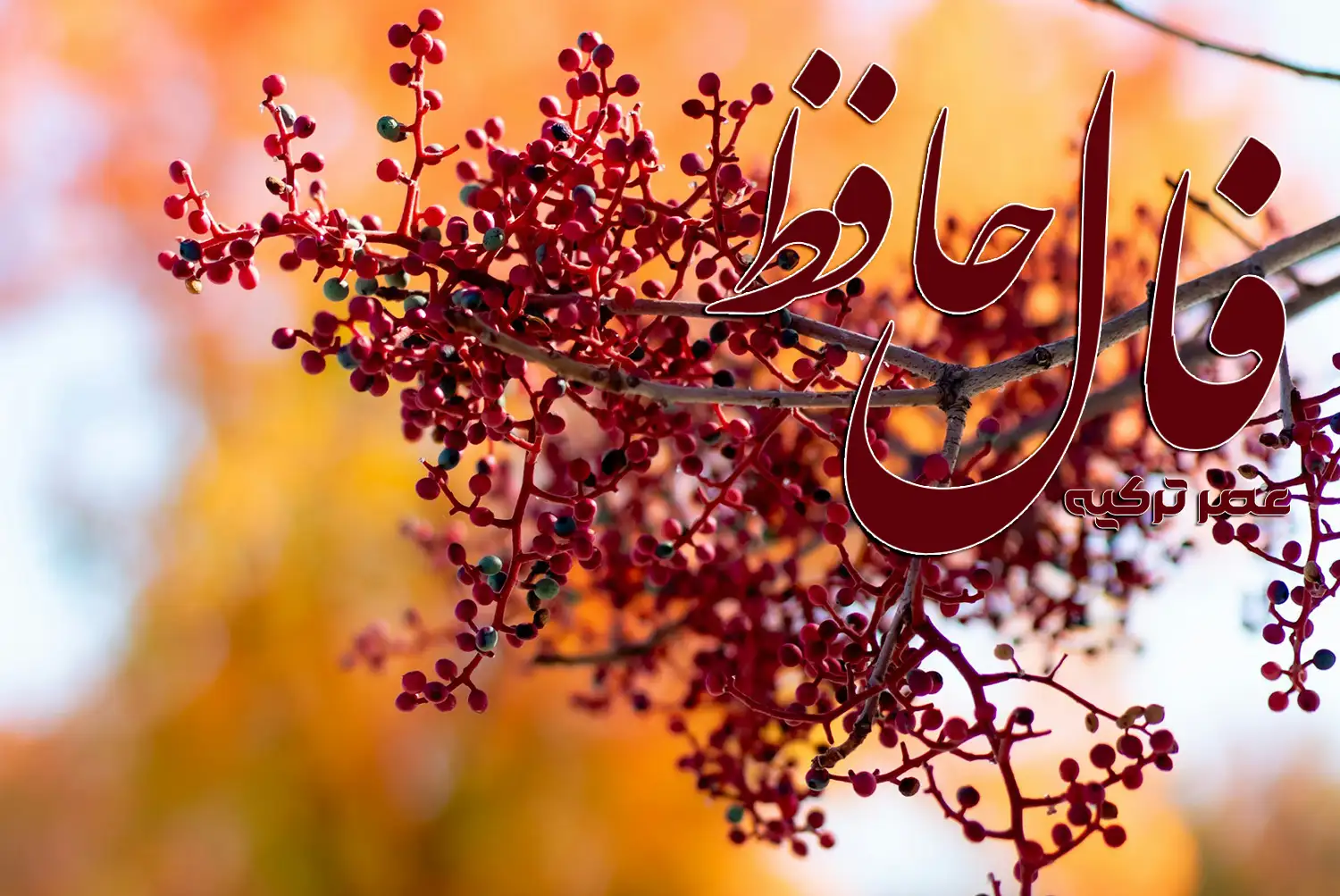 فال حافظ 1 آبان 1404