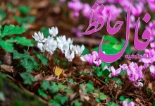 فال حافظ 10 آبان 1404