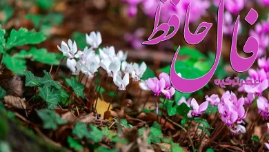 فال حافظ 10 آبان 1404