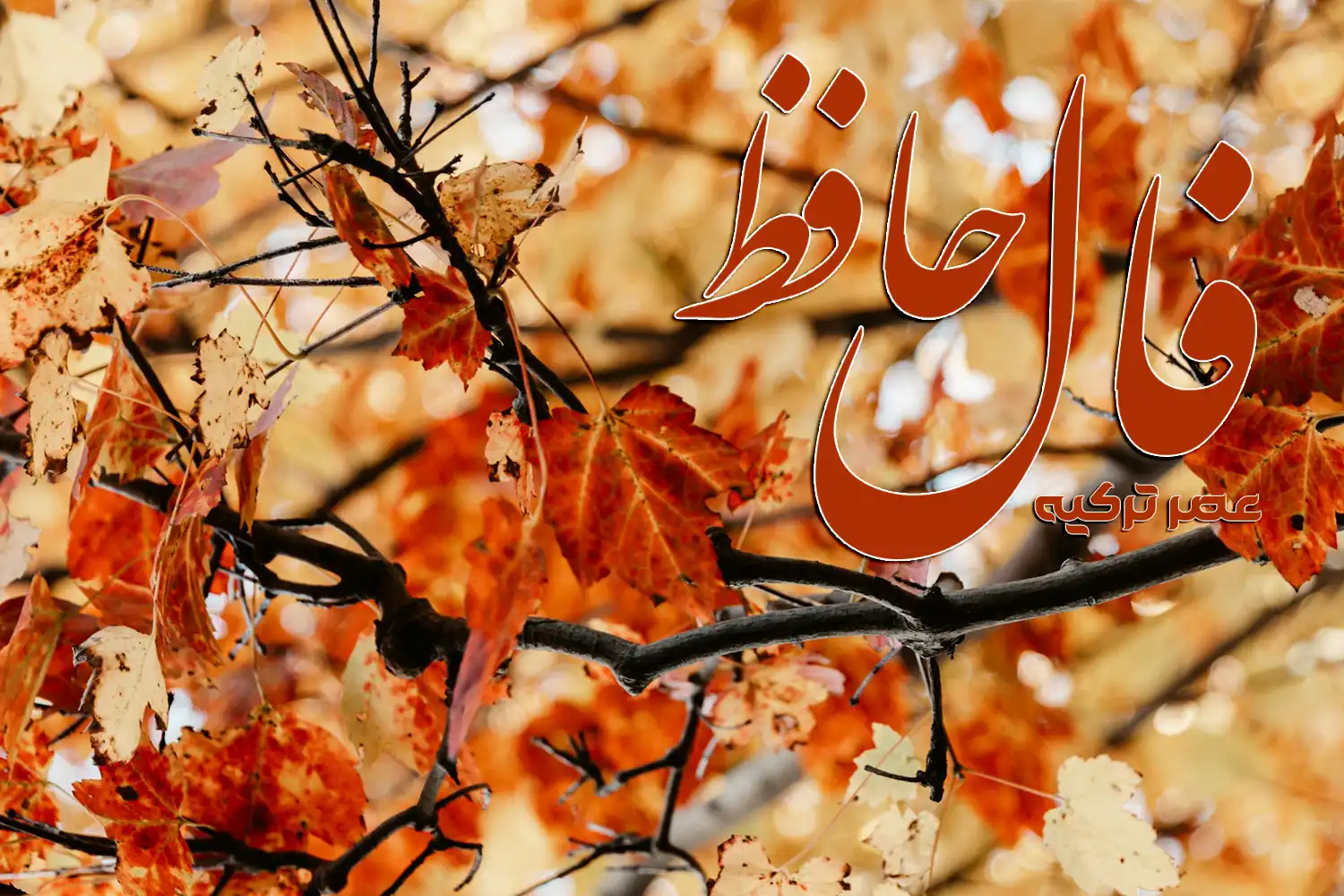 فال حافظ 17 مهر 1404