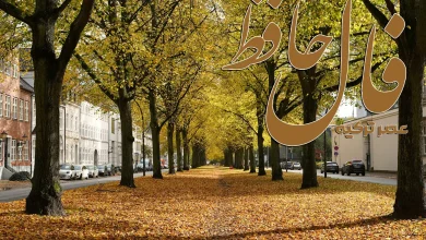 فال حافظ 2 آبان 1404