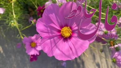 فال حافظ 21 مهر 1404