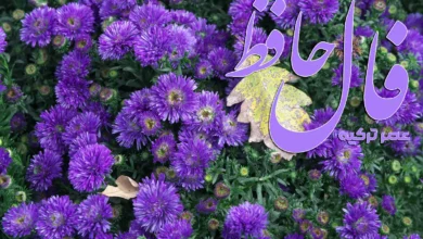 فال حافظ 22 مهر 1404