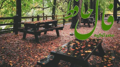 فال حافظ 26 مهر 1404