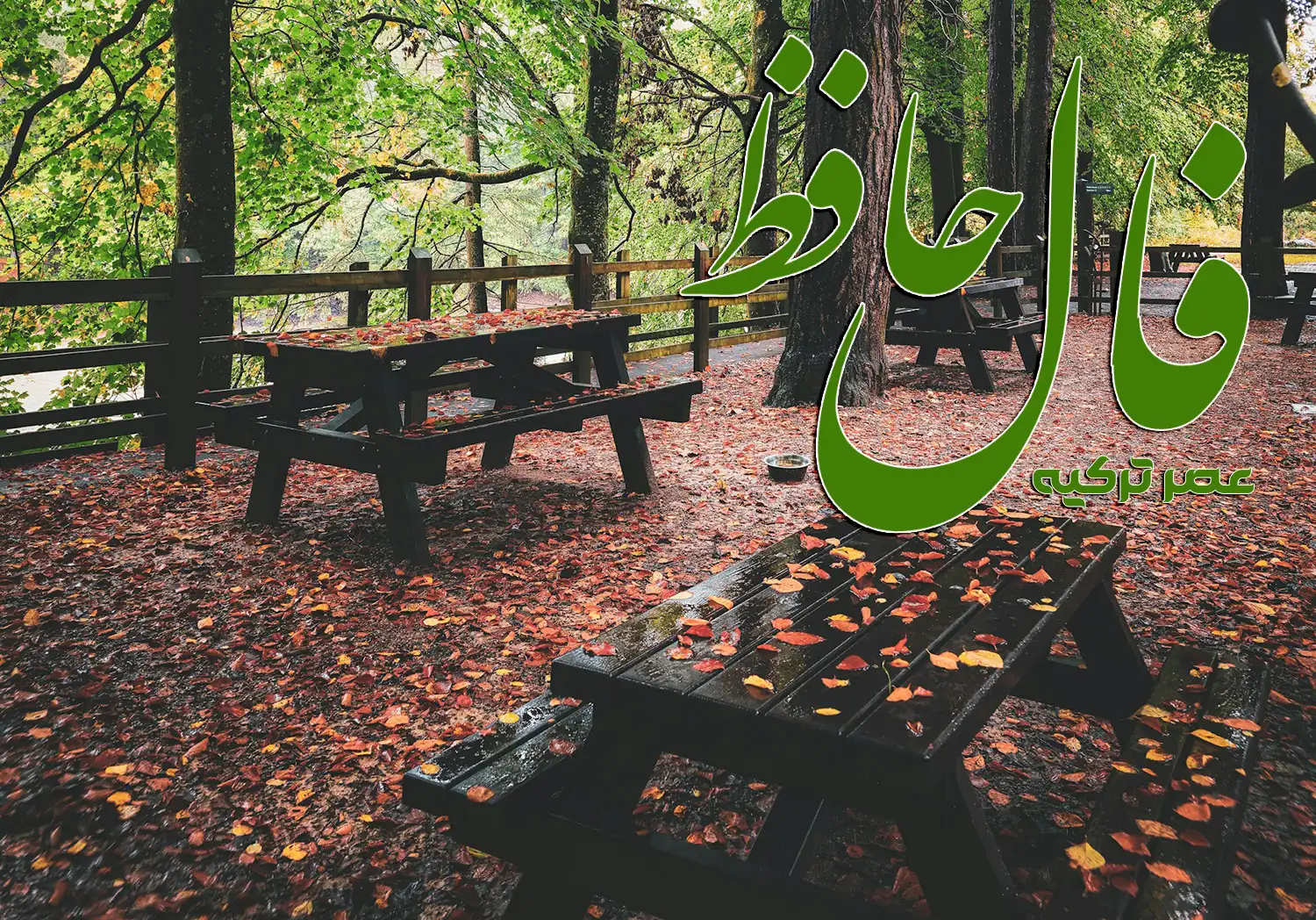 فال حافظ 26 مهر 1404