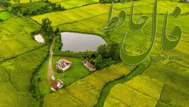 فال حافظ 28 مهر 1404