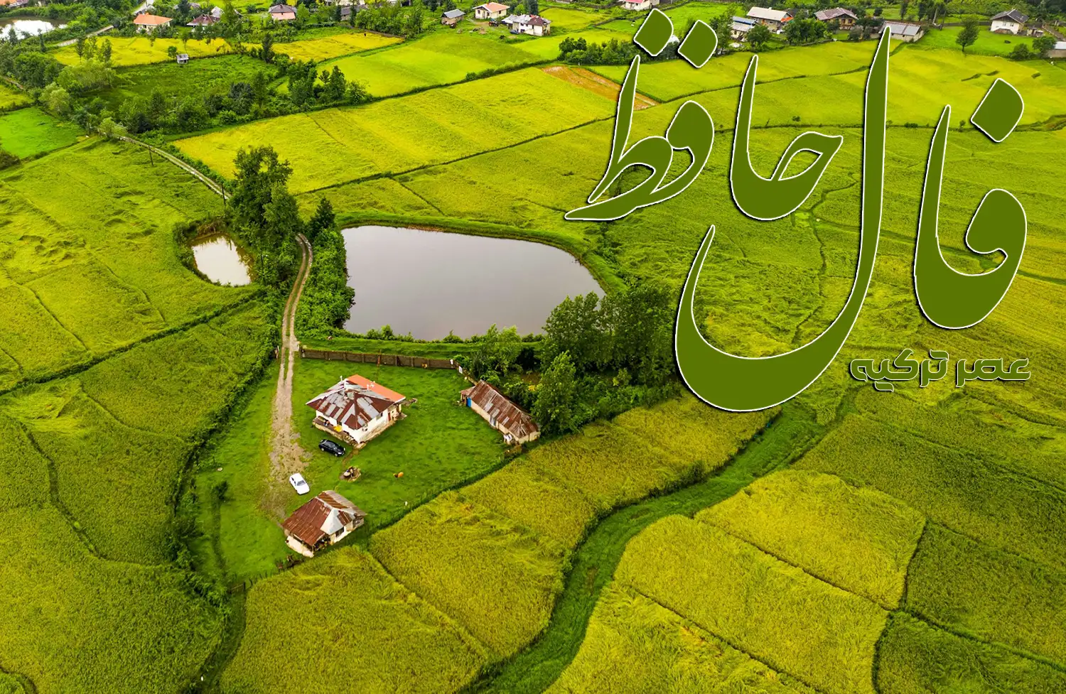 فال حافظ 28 مهر 1404