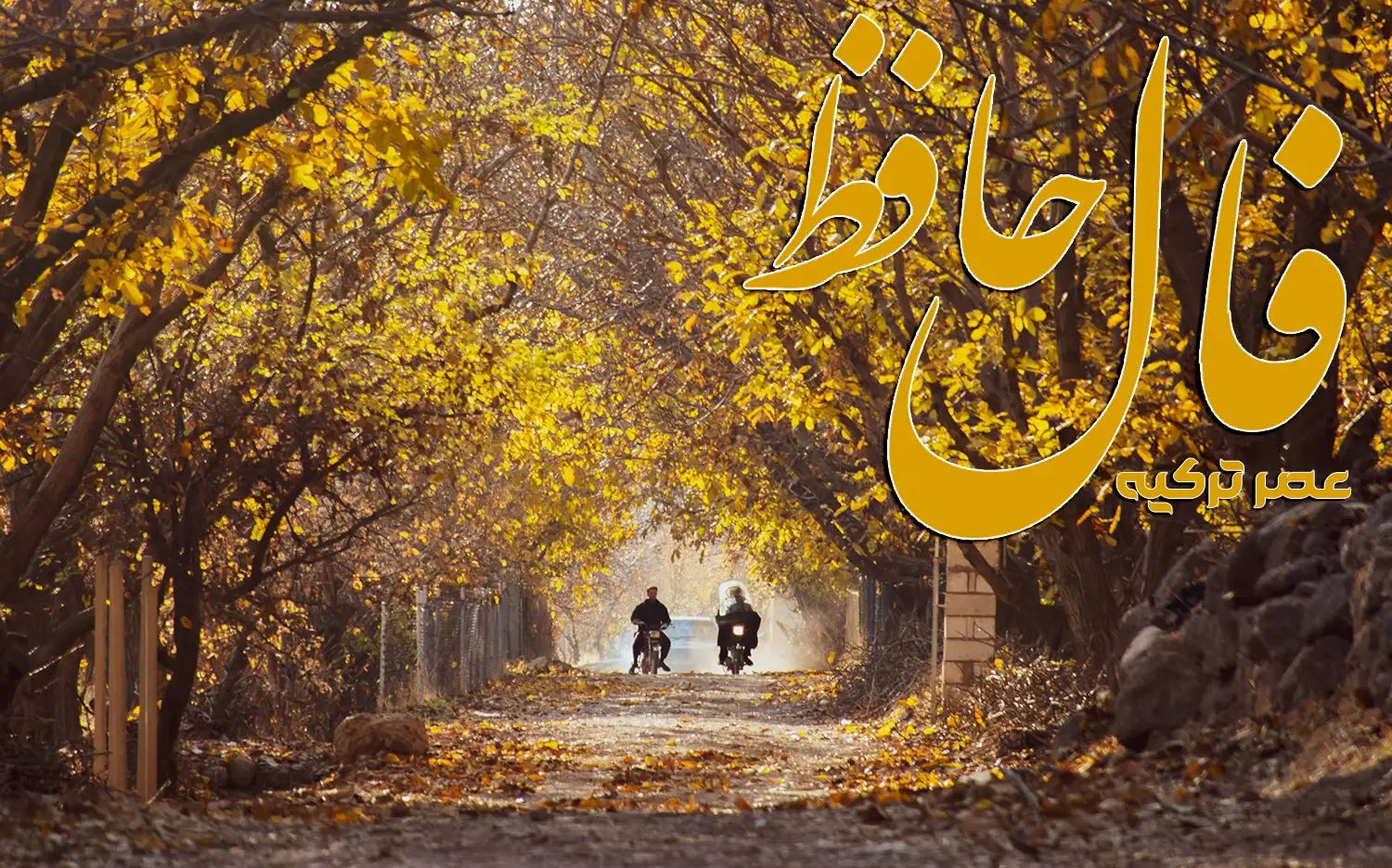 فال حافظ 30 مهر 1404